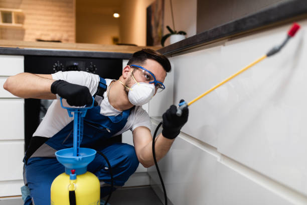 Best Pest Control for Businesses  in Ashtabula, OH