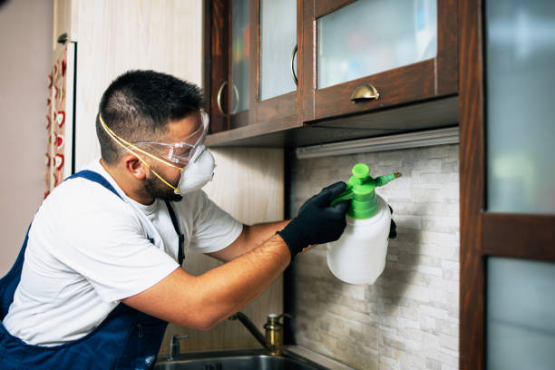 Best Best Pest Control Companies  in Ashtabula, OH