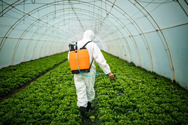 Best Pest Prevention Services  in Ashtabula, OH