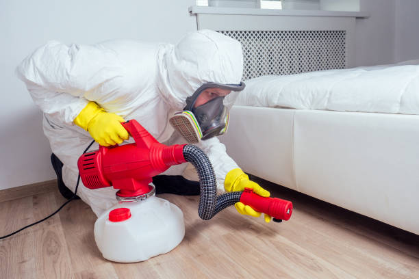 Best Affordable Pest Control Services  in Ashtabula, OH