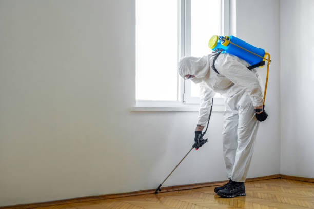 Professional Pest Control in Ashtabula, OH