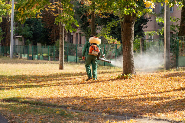 Best Spider Control Near Me  in Ashtabula, OH