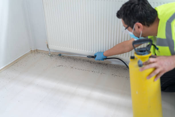 Professional Pest Control in Ashtabula, OH
