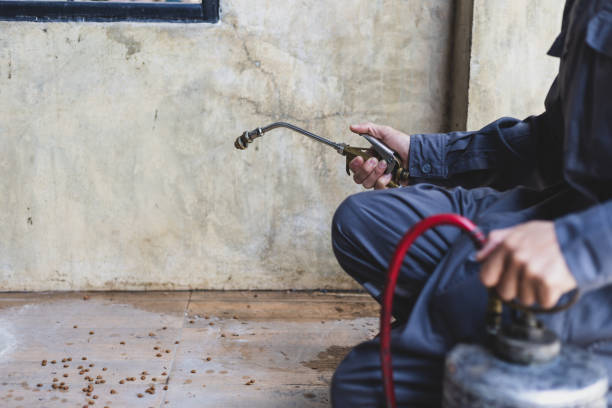 Best Pest Control for Homes  in Ashtabula, OH