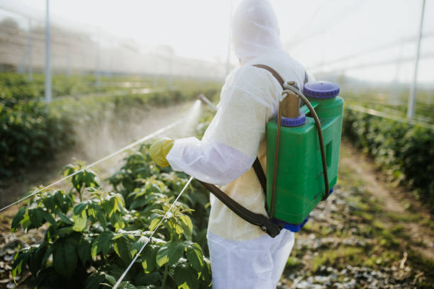 Best Pest Inspection Near Me  in Ashtabula, OH